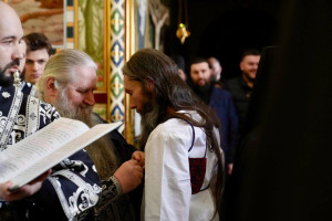 photo_6_2026-03-17_15-17-46