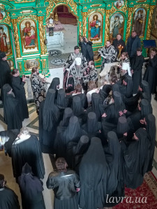 signal-2026-03-17-13-10-50-568