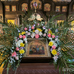 IMG_20260404_185936 (2)