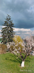 IMG_20260413_173141_029