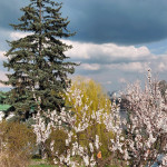 IMG_20260413_173141_029