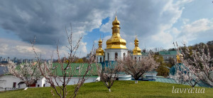 IMG_20260413_173145_635 (1)