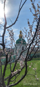 IMG_20260413_173150_537