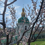 IMG_20260413_173150_537