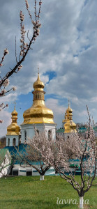 IMG_20260413_173154_040