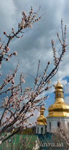 IMG_20260413_173157_652