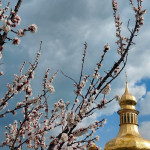 IMG_20260413_173157_652