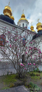 IMG_20260413_173346_316