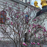 IMG_20260413_173346_316