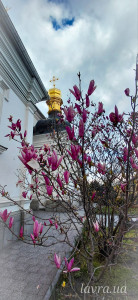 IMG_20260413_173349_462