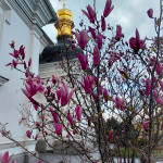 IMG_20260413_173349_462