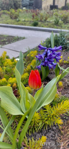 IMG_20260413_173352_864 (1)