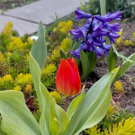 IMG_20260413_173352_864 (1)