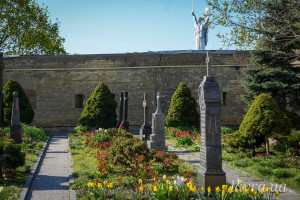 IMG_20260421_091732_243