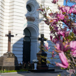 IMG_20260421_093149_887