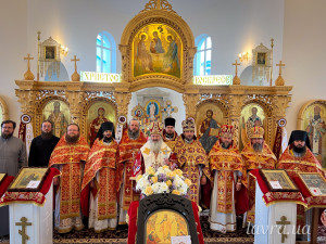 IMG_20260425_141638_317