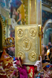 photo_10_2026-04-17_14-46-00