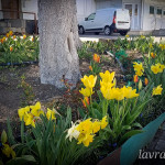 photo_11_2026-04-21_16-22-49