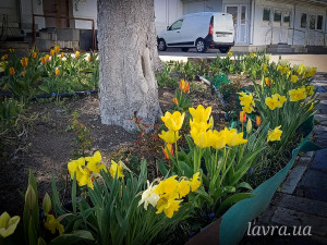 photo_11_2026-04-21_16-22-49