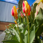 photo_13_2026-04-21_16-22-49