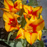 photo_15_2026-04-21_16-22-49