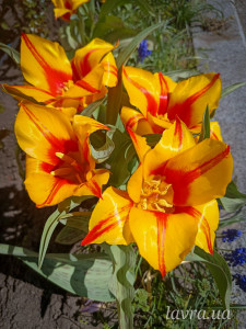 photo_15_2026-04-21_16-22-49