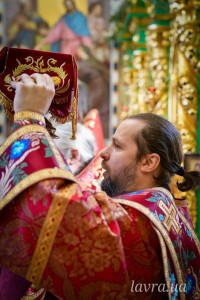 photo_16_2026-04-17_14-46-00