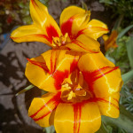 photo_16_2026-04-21_16-22-49