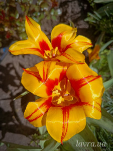 photo_16_2026-04-21_16-22-49