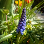 photo_17_2026-04-21_16-22-49