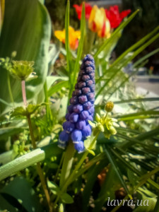 photo_17_2026-04-21_16-22-49