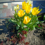 photo_1_2026-04-21_16-22-49