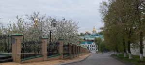 photo_1_2026-04-25_12-32-56