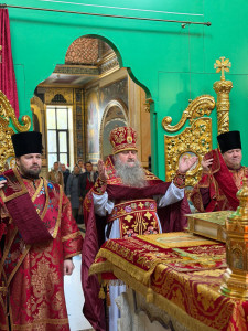 photo_2026-04-17_09-57-20