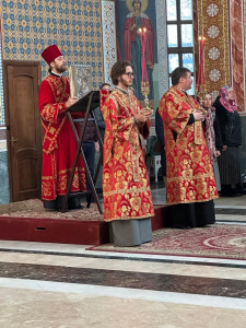 photo_2026-04-21_12-32-01