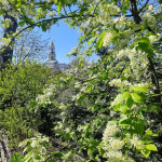 photo_2026-04-22_16-25-57