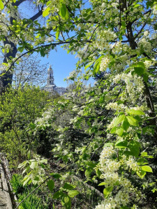 photo_2026-04-22_16-25-57