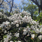 photo_2026-04-22_16-26-20