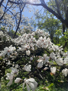 photo_2026-04-22_16-26-20