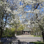 photo_2026-04-22_16-26-47