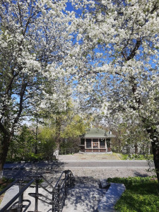 photo_2026-04-22_16-26-47