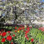 photo_2026-04-22_16-27-06