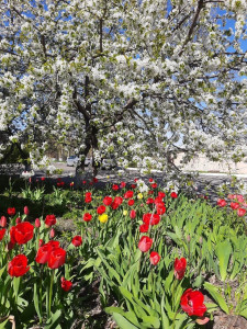 photo_2026-04-22_16-27-06