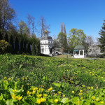 photo_2026-04-22_16-27-22