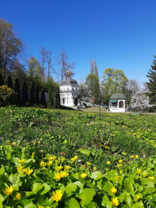 photo_2026-04-22_16-27-22