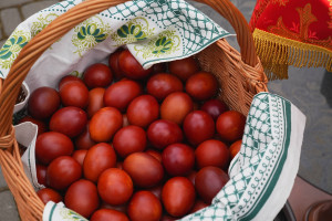 photo_2026-04-22_20-08-06