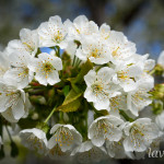 photo_2_2026-04-21_16-14-04