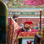 photo_3_2026-04-17_14-46-00