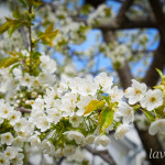 photo_3_2026-04-21_16-14-04