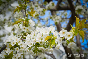 photo_3_2026-04-21_16-14-04